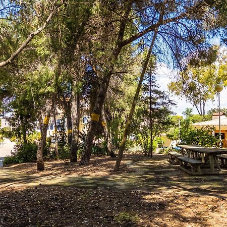 Apartamentos Bosque Sao Jose 阿尔布费拉 外观 照片